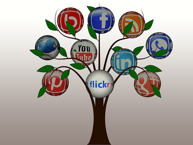 internet 198